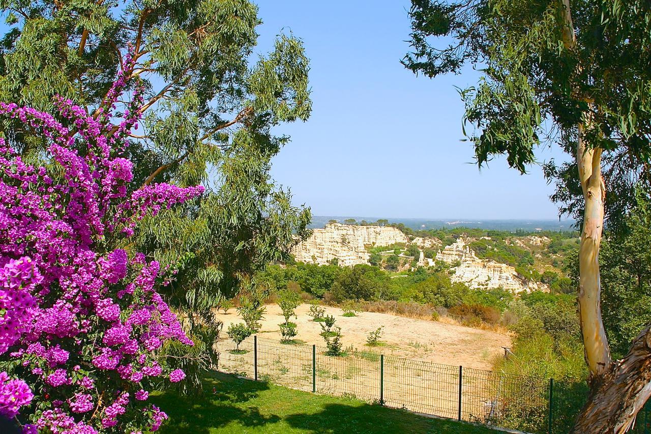 Gite Des Orgues De La Sybille Agave Canigou Εξωτερικό φωτογραφία