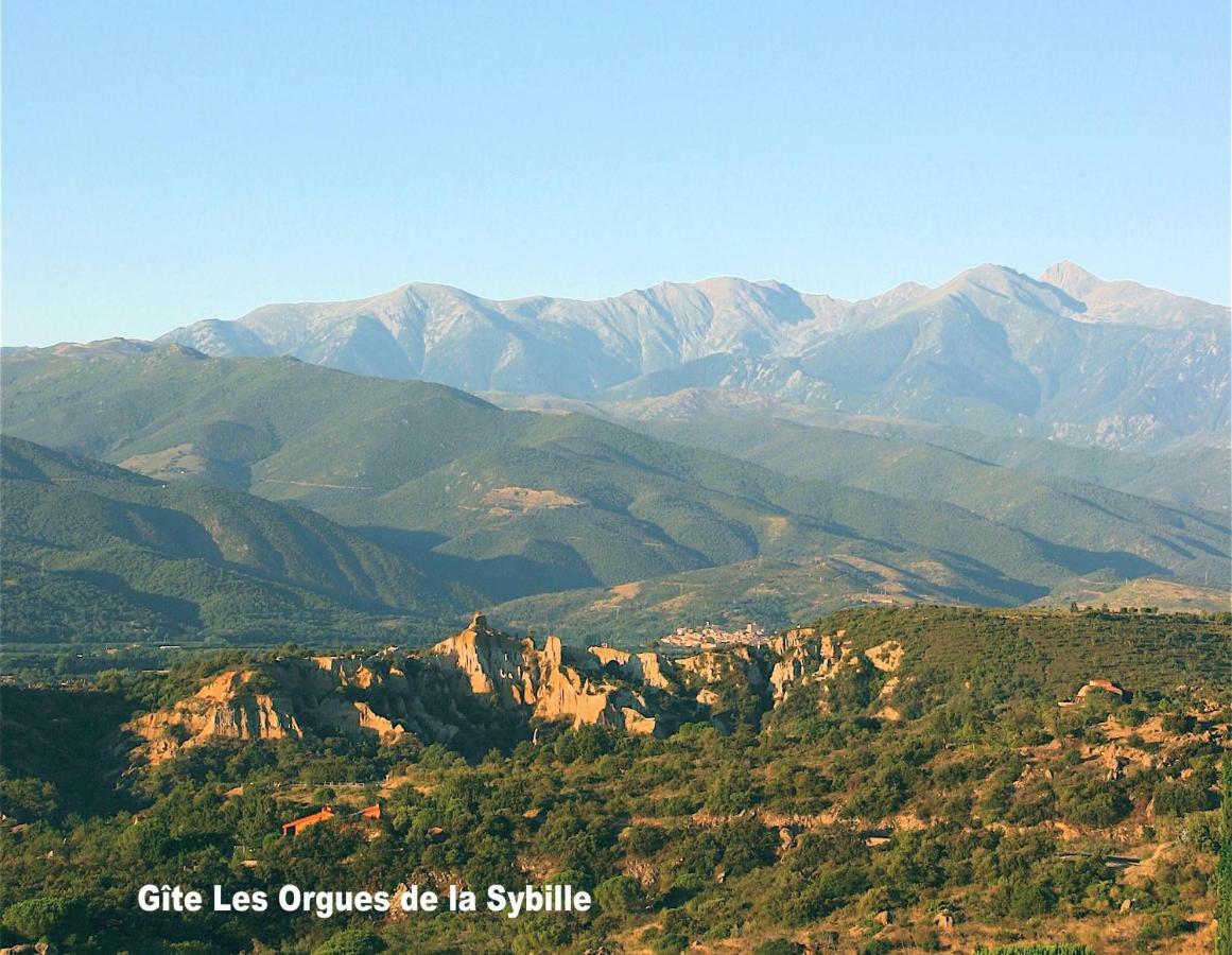 Gite Des Orgues De La Sybille Agave Canigou Εξωτερικό φωτογραφία